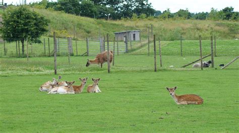 Enghave Dyre & Naturpark 